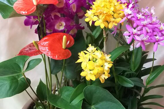 寄せ植え８０００円３