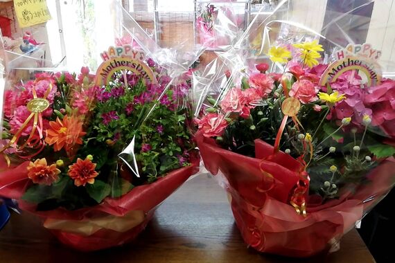 豪華母の日寄せ鉢