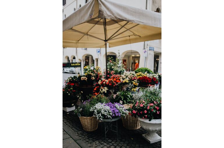 flowers-blooming-blossom-italian2