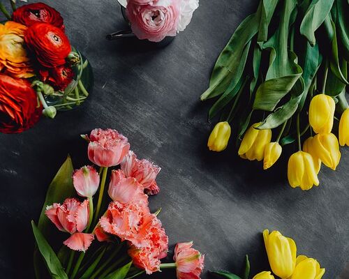 flowers-copy-space-background-bloom