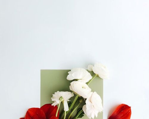 red-petaled-flower