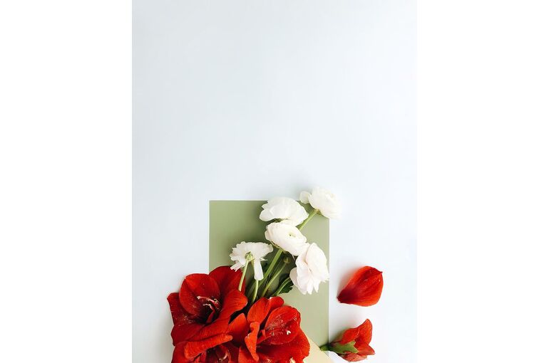 red-petaled-flower