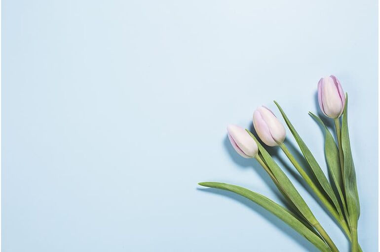 flowers-backgrounds-seasons-spring