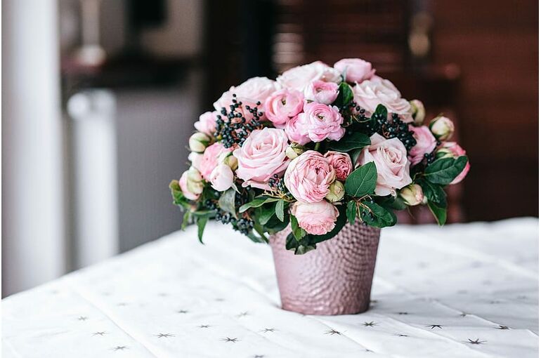 flowers-rose-flora-pink