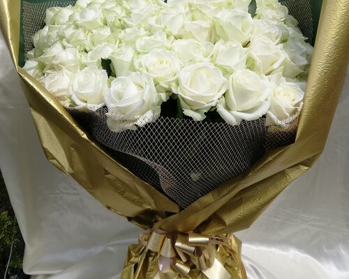 最高級白薔薇