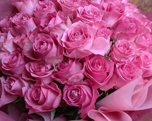 豪華ピンクの薔薇の花束