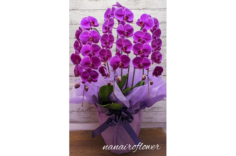 Polish_20221102_185819094